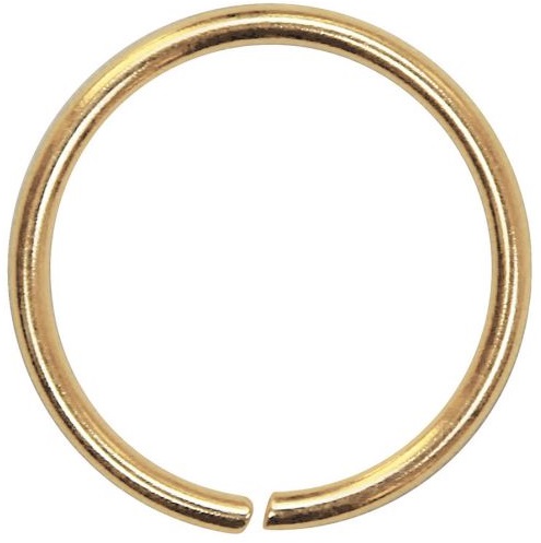 gold seamless ring